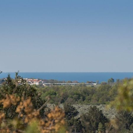 Apartment Bruneta 1 With Sea View Tar-Vabriga Luaran gambar